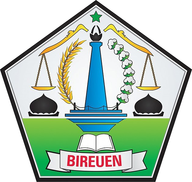 KAB. BIREUEN